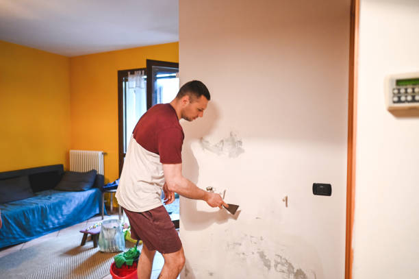 Best Kitchen Mold Remediation in Brent, AL